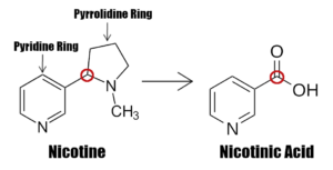 Nicotinic Acid was first discovered through the oxidation of nicotine