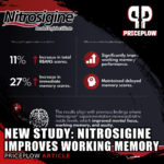 Nitrosigine Working Memory Study