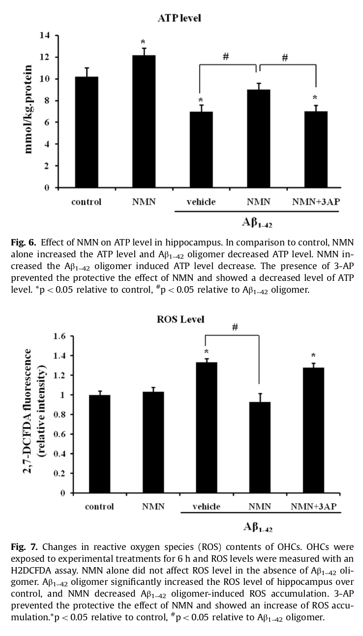 NMN Cognition ATP