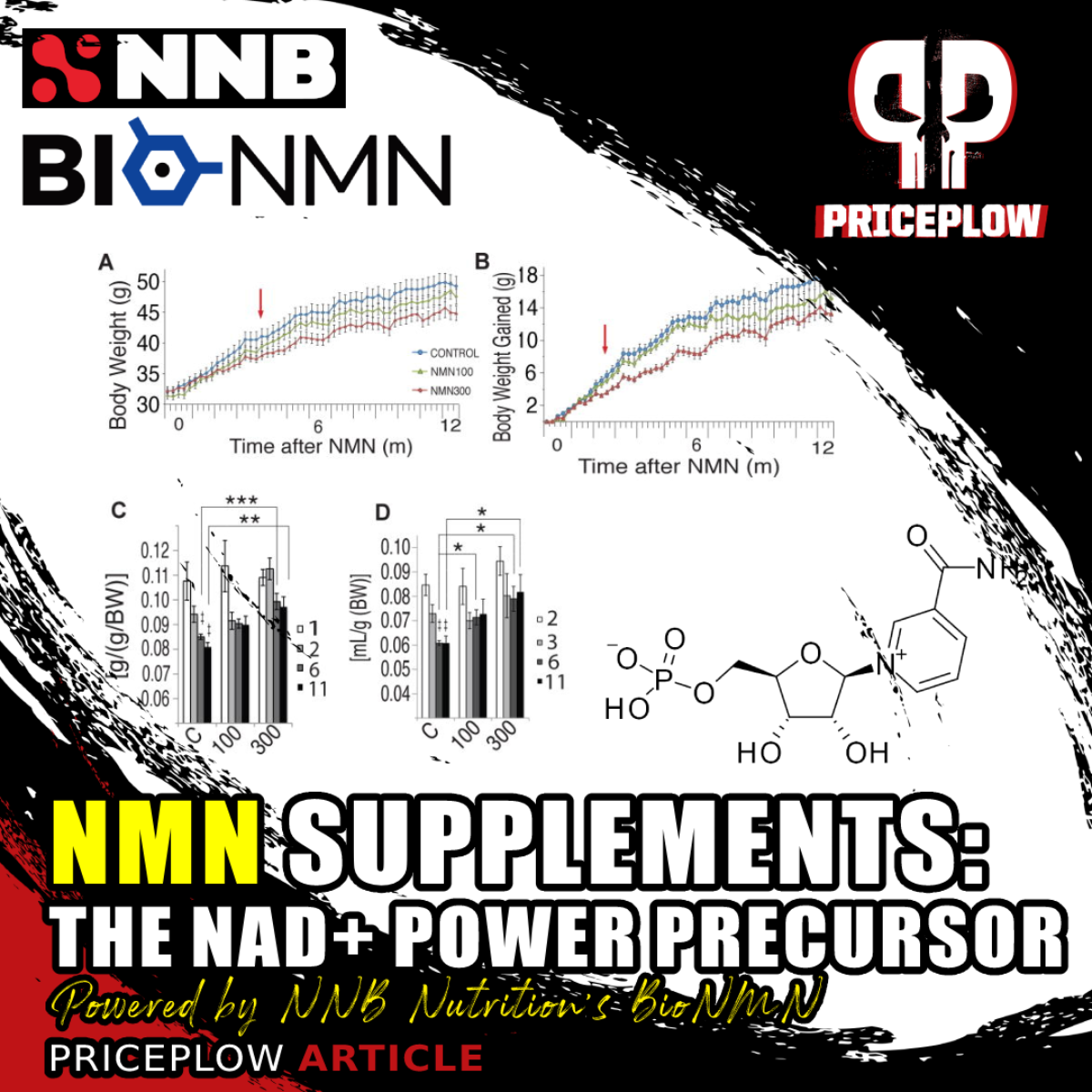 nmn supplements nicotinamide