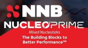 NNB NucleoPrime