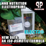 NNB Nutrition ElectroPrime