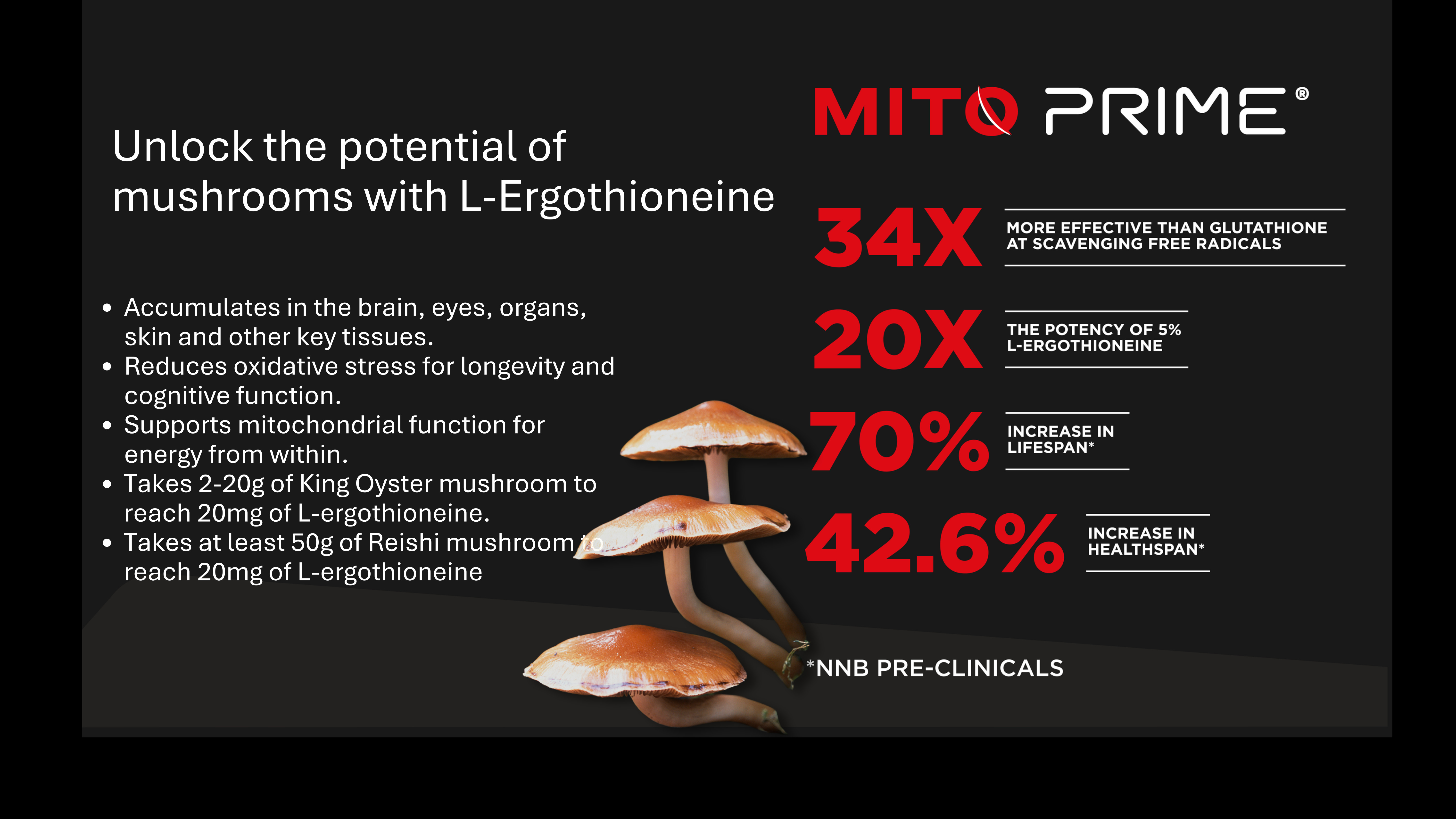 MitoPrime concentrates mushroom benefits into effective doses
