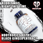 Nootropics Depot Black Ginger Extract: A Reddit Discovery That Inspired a Supplement