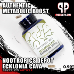 Nootropics Depot Ecklonia Cava: The 6-Year Quest for a Superior Seaweed Source