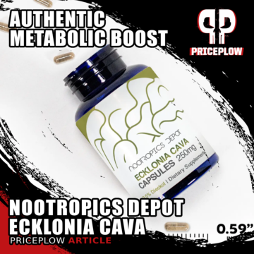 Nootropics Depot Ecklonia Cava: The 6-Year Quest for a Superior Seaweed Source