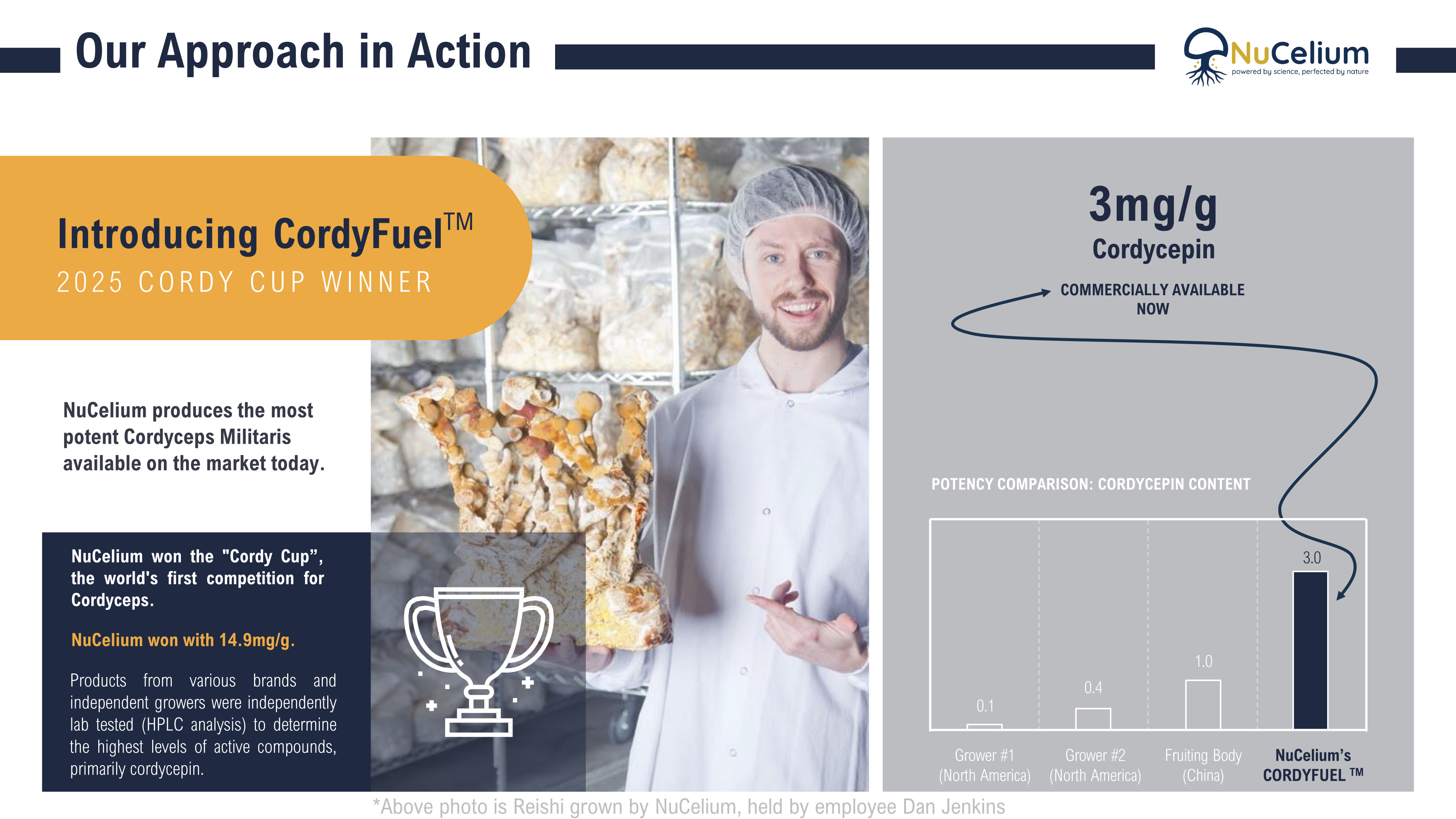 NuCelium CordyFuel – 2025 Cordy Cup Winner and Cordycepin Potency Comparison vs. Competitors