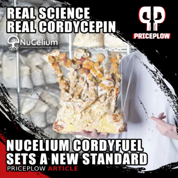 CordyFuel: The High-Potency Cordyceps From NuCelium That's Changing Body & Brain Performance