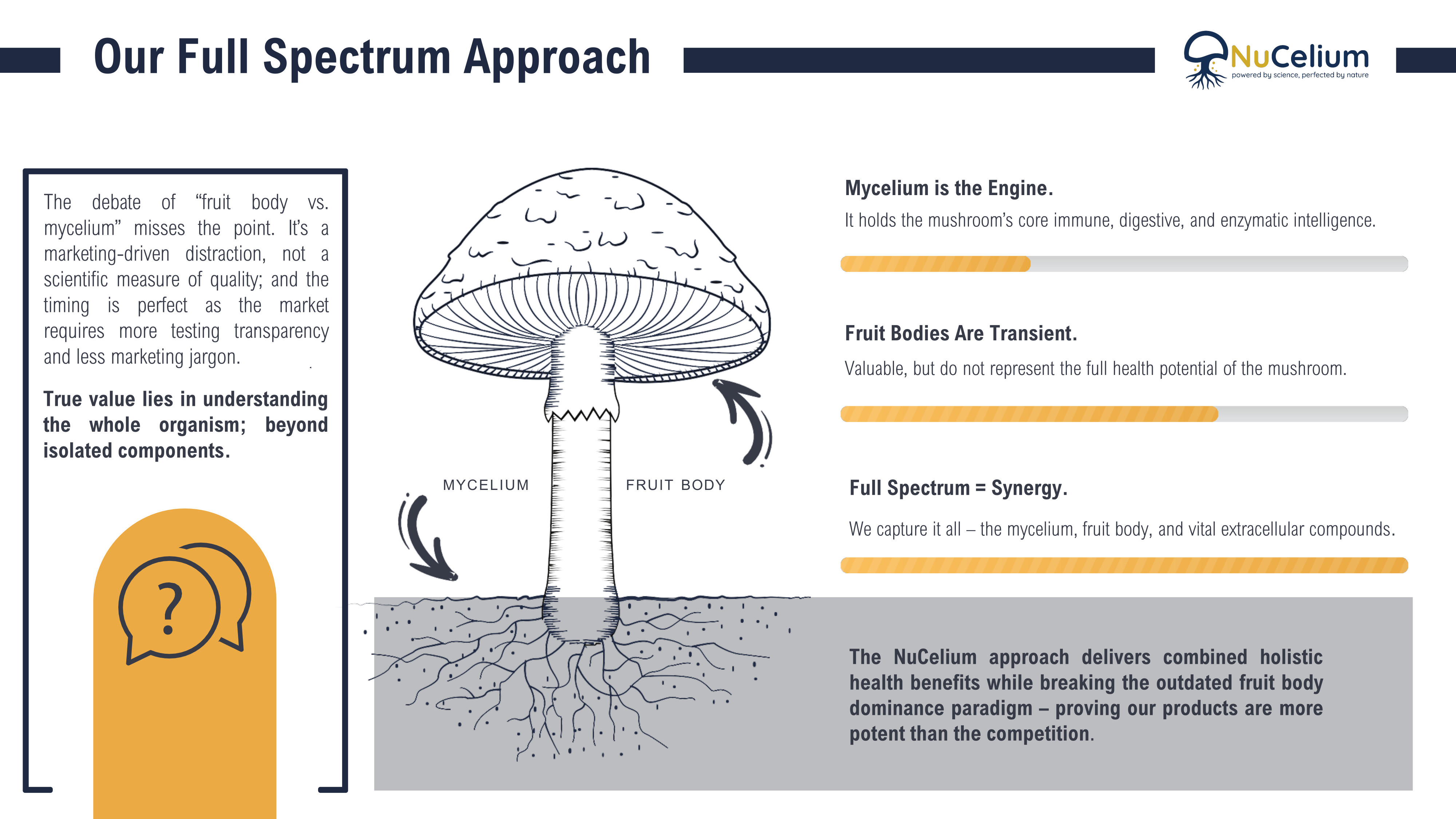 NuCelium – Full Spectrum Mushroom Approach: Mycelium, Fruit Body, and Extracellular Compounds