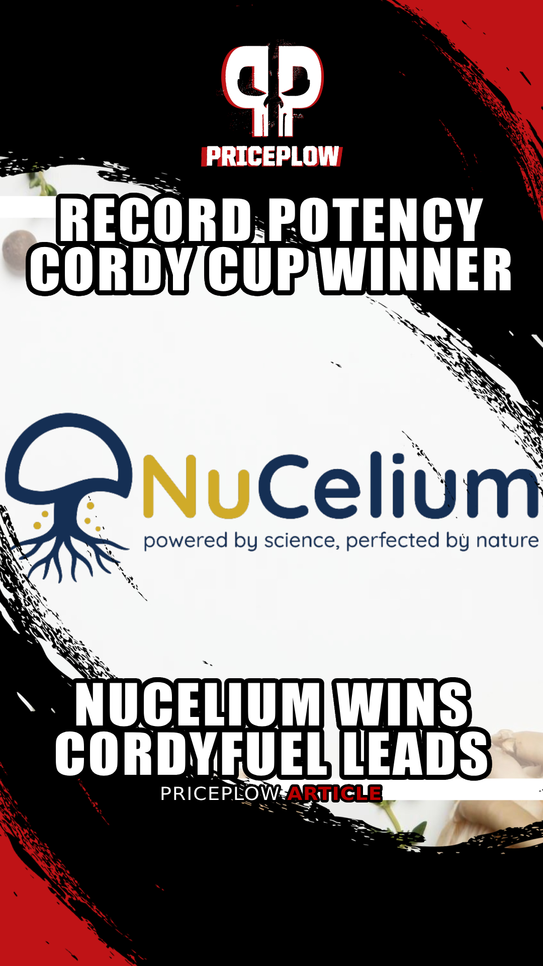 NuCelium: The Canadian Mushroom Company Setting a New Standard for Cordyceps Potency