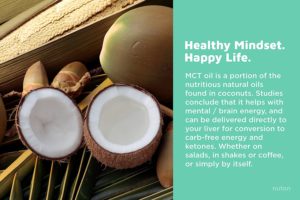 Nuton Brainfood Coconut
