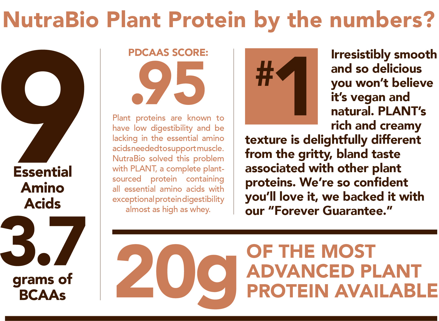 NutraBio Plant Protein Benefits