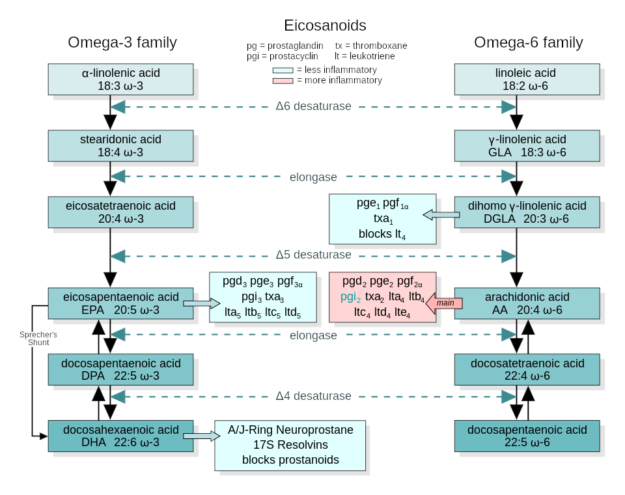 Omega-3 Fatty Acid Interactions
