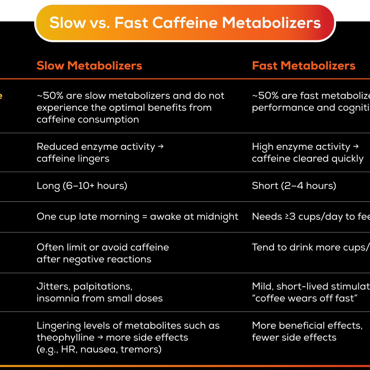 Slow vs. Fast Caffeine Metabolizers: How enfinity Paraxanthine Solves the Problem Slow vs. Fast Caffeine Metabolizers: How enfinity Paraxanthine Solves the Problem