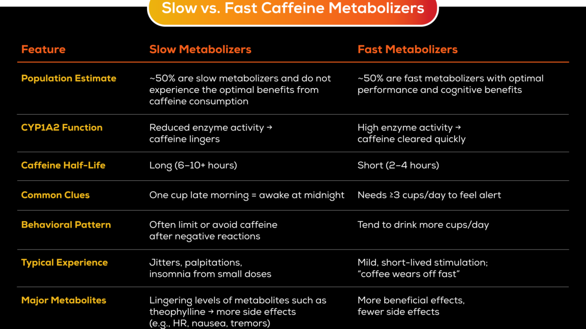 Slow vs. Fast Caffeine Metabolizers: How enfinity Paraxanthine Solves the Problem Slow vs. Fast Caffeine Metabolizers: How enfinity Paraxanthine Solves the Problem