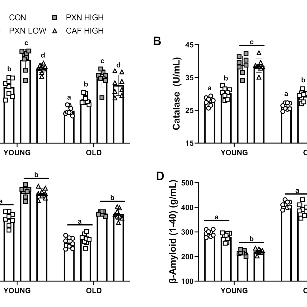 paraxanthine glutathione catalase American Express