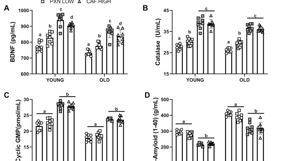 paraxanthine catalase glutathione New Preclinical Study Shows Paraxanthine Enhances Memory and Brain Function  Better Than Caffeine
