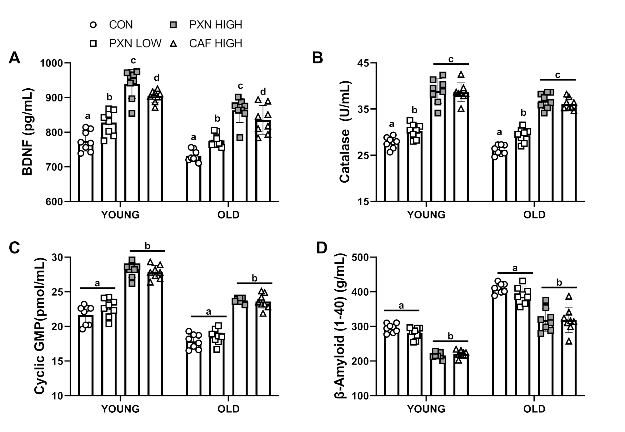 Paraxanthine vs Caffeine Rats Neurobiology