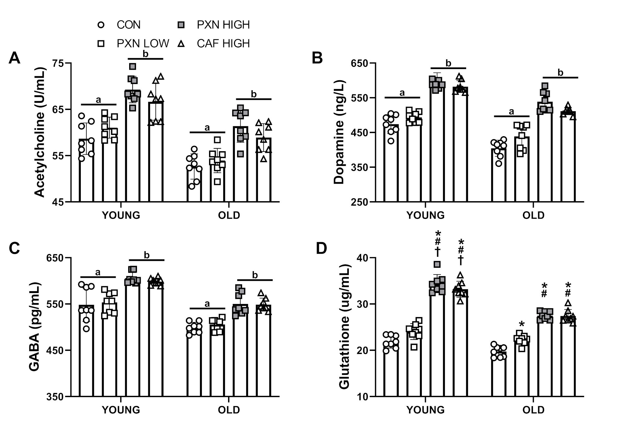 Paraxanthine vs Caffeine Rats Neurotransmitters