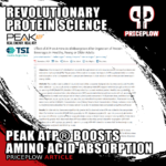Amino Acid Absorption Enhanced by Peak ATP! New ATP / Protein Research Coming