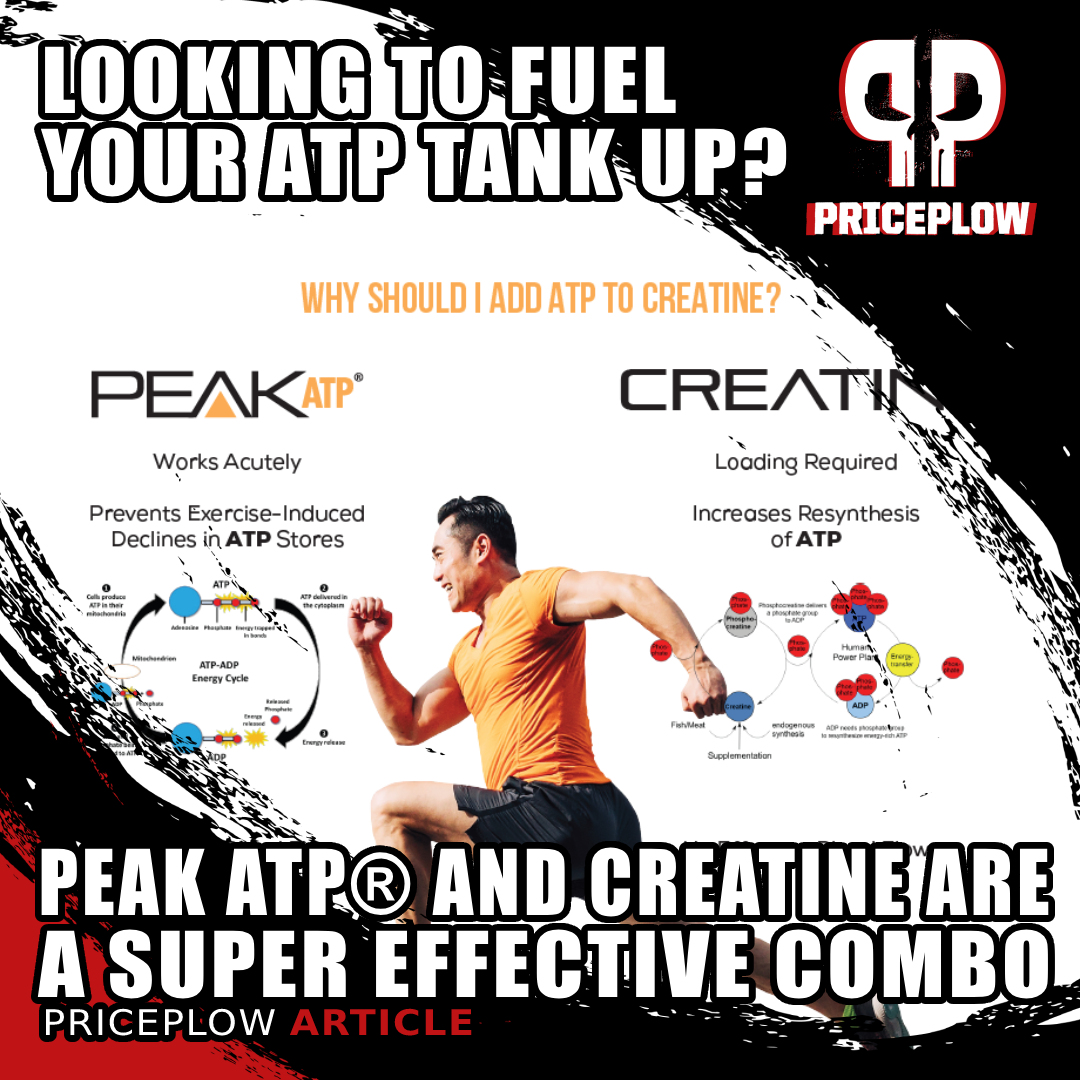 Peak ATP and Creatine