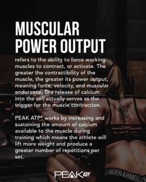 Peak ATP Muscular Power Output