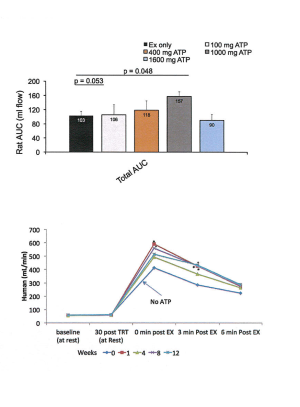 Peak ATP Rathmacher Study
