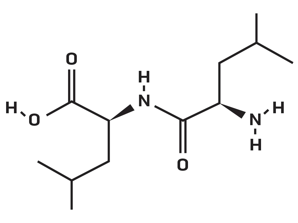 Dileucine Molecule