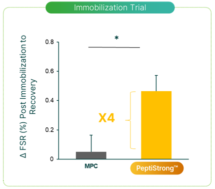 PeptiStrong Myofibrillar FSR (Myofibrillar Protein Fractional Synthesis Rate)