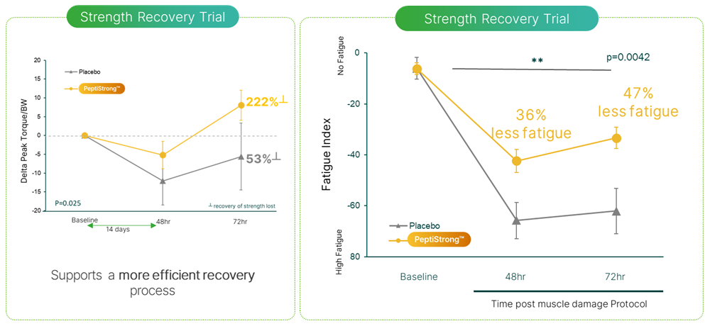 PeptiStrong Strength Recovery Study