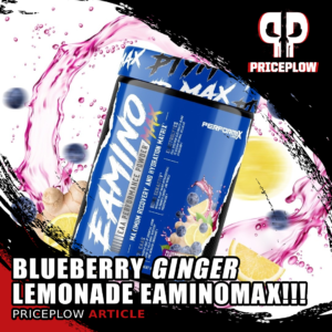 Performax Labs EAminoMax Blueberry GINGER Lemonade!