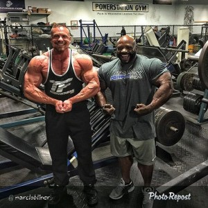 Performax Labs Tiger Fitness