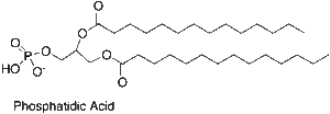 Phosphatidic Acid
