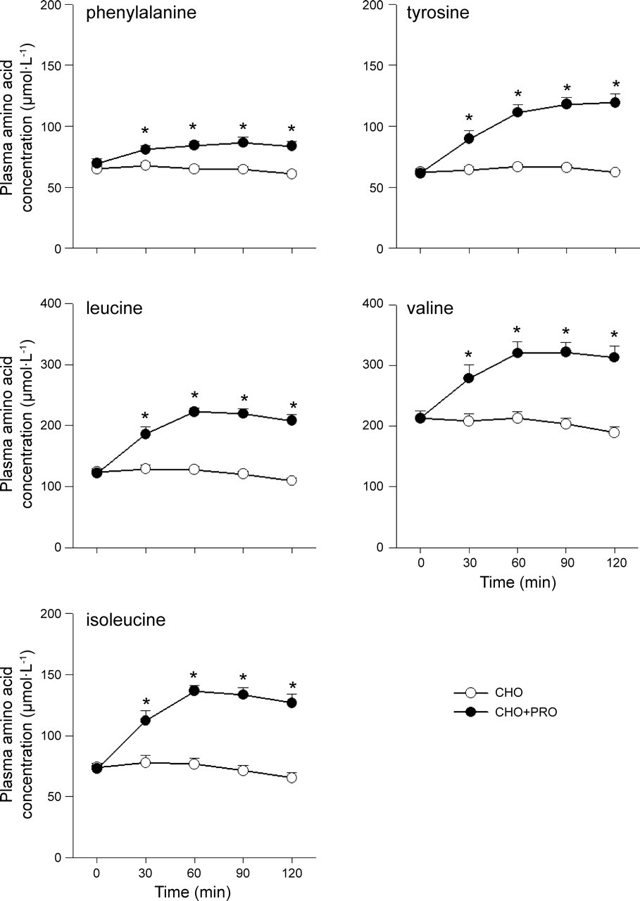 Plasma Amino Acid Levels During Exercise With and Without Protein Hydrolysate
