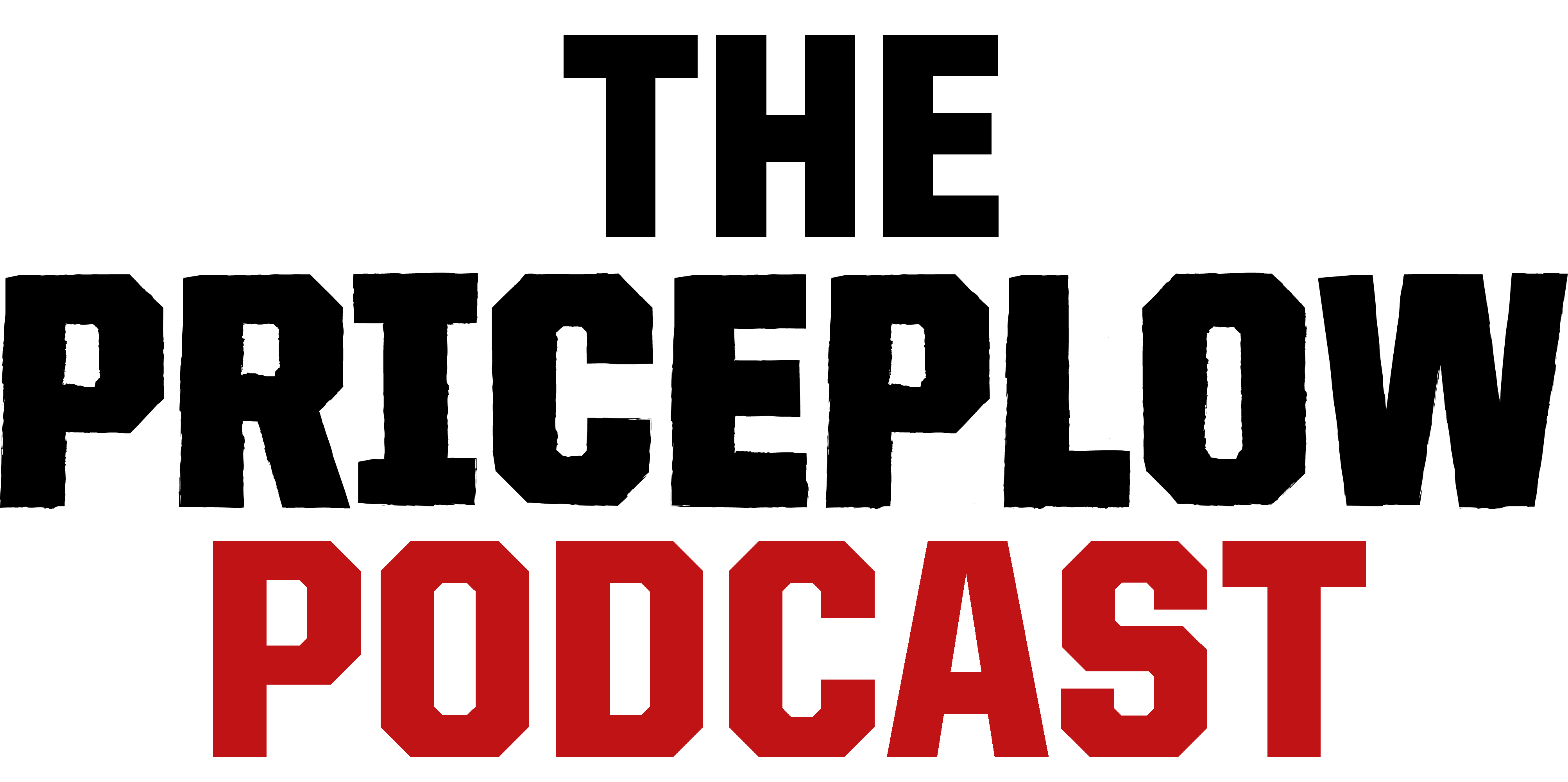 The PricePlow Podcast is here!
