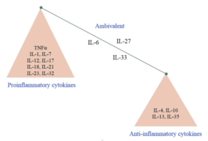Pro-Inflammatory vs. Anti-Inflammatory Cytokines