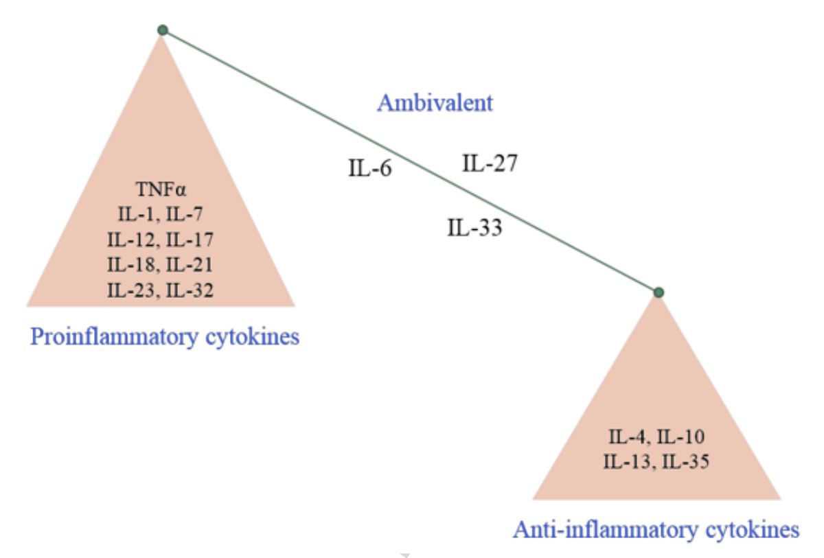 Pro-Inflammatory vs. Anti-Inflammatory Cytokines