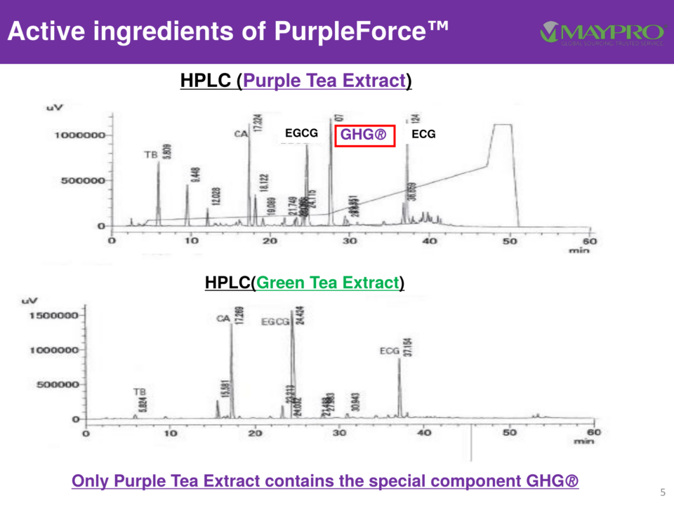 Purple Tea Extract PurpleForce: AMPK-Boosting Purple Tea Extract with Patented GHG®