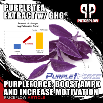 PurpleForce: AMPK-Boosting Purple Tea Extract with Patented GHG®
