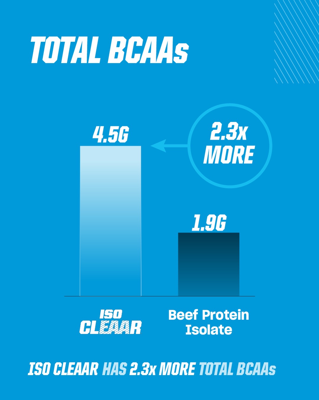 PVL ISO CLEAAR Total BCAAs