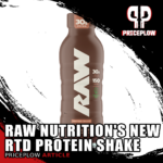 RAW Protein Shake Chocolate Featured