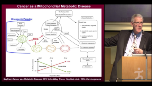 Reactive Oxygen Species Mitochondrial Dysfunction Cancer Seyfried