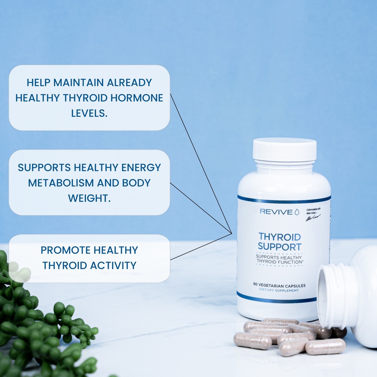 Revive MD Thyroid Support Benefits