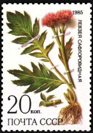 Rhaponticum Carthamoides Soviet Russia Stamp