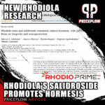 Rhodiola Salidroside Research: Gut Health and Hormesis for Longevity and Neuroprotection