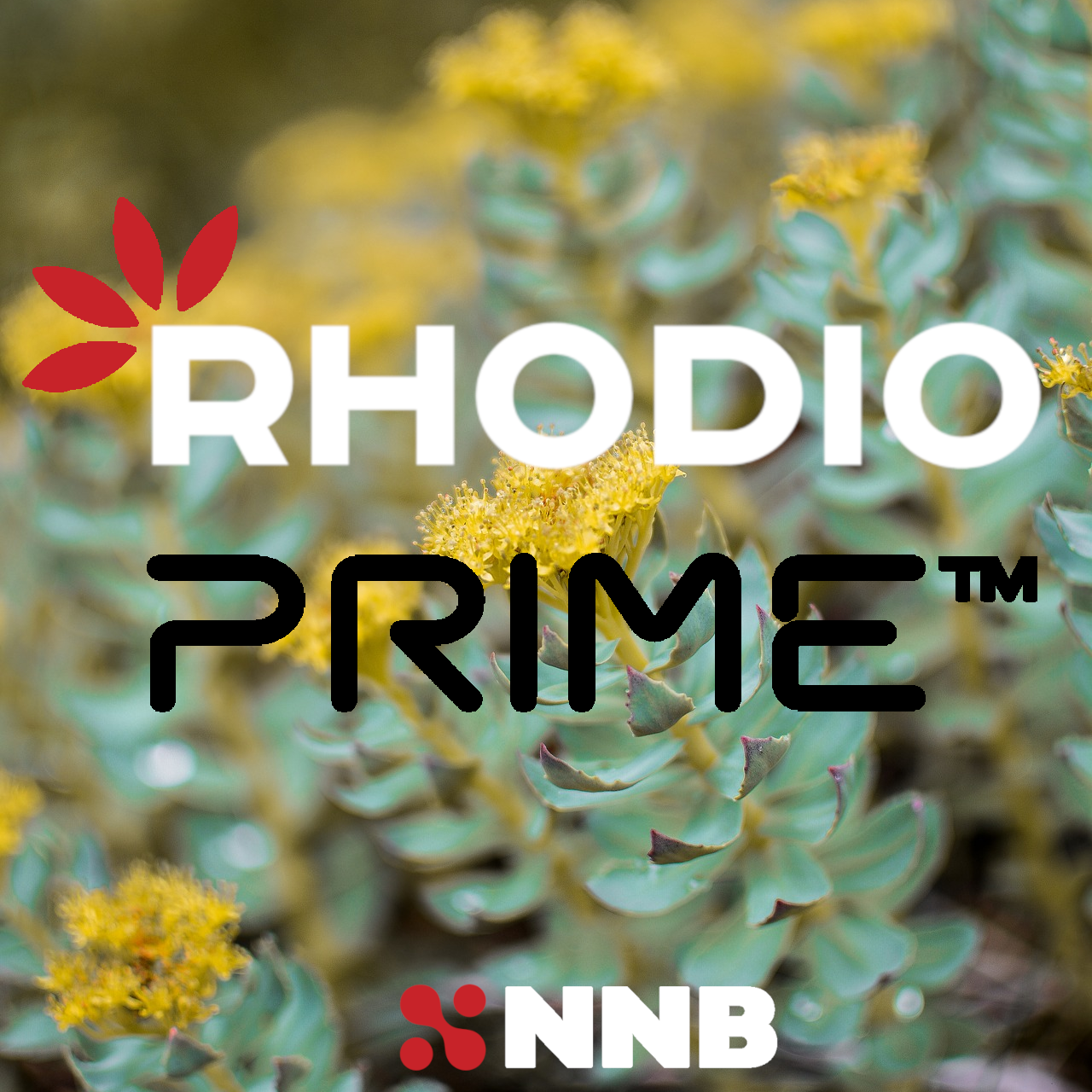 RhodioPrime NNB Nutrition