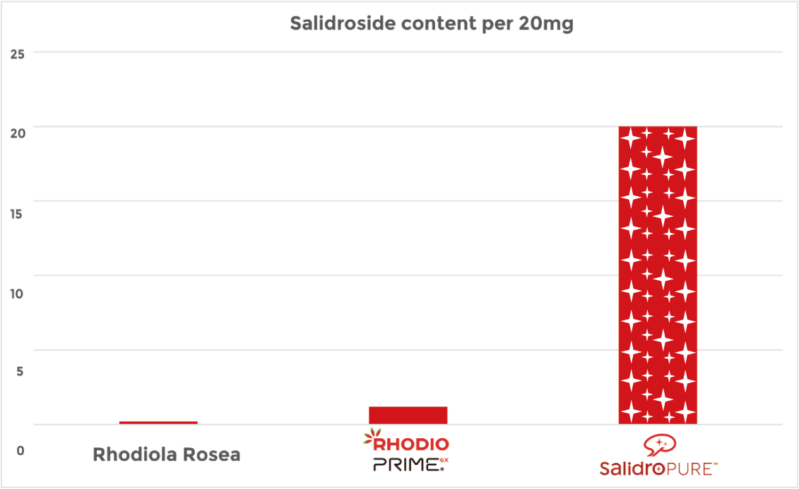 Salidroside concentration comparison