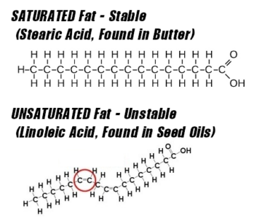 MCT Oil: The Dietary Fat Source Built for Efficient Energy