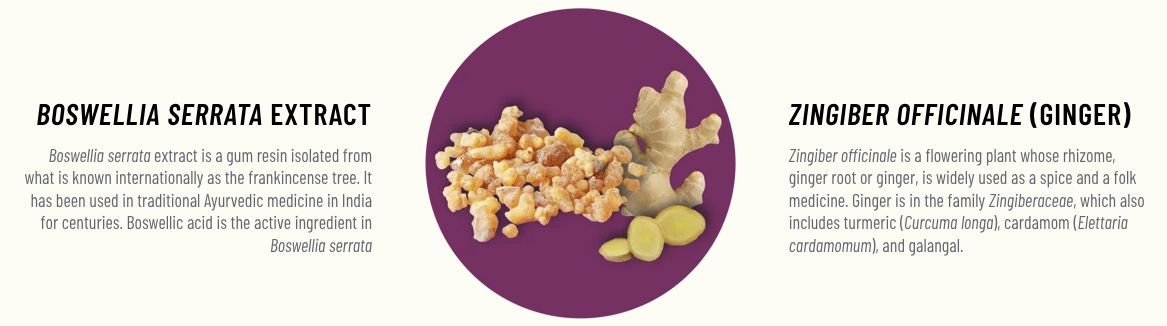 The Natural Anti-Inflammatory Duo Behind Serezin