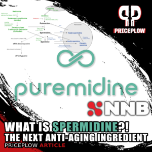 What is SPERMIDINE?! Meet the Latest Longevity Ingredient